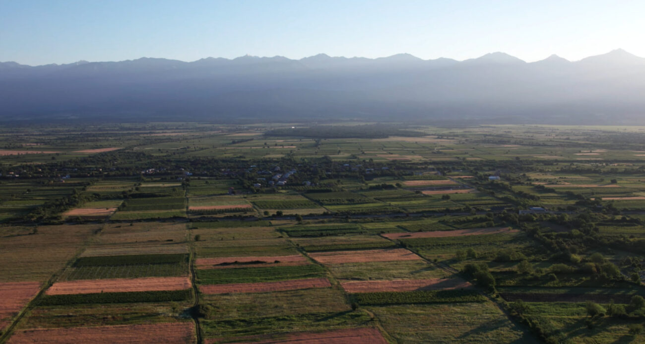 Georgia Kakheti region Alazani valley